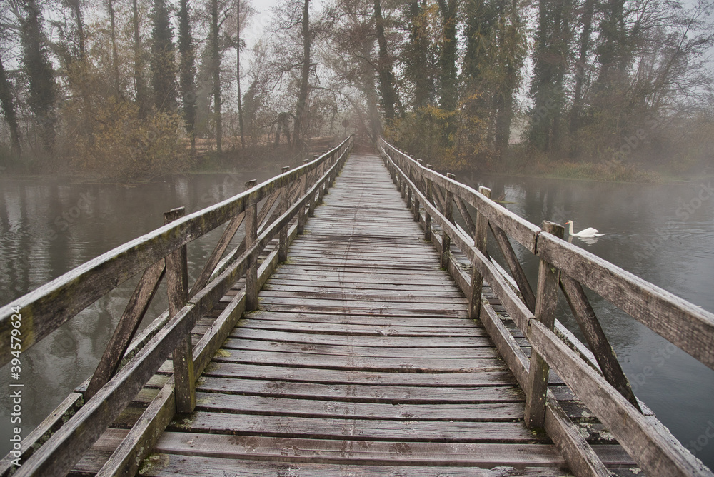 Nebel in den Rheinauen in der Ortenau