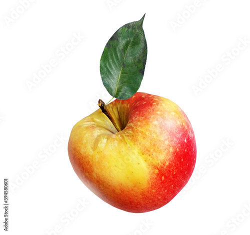 Color apple on white background