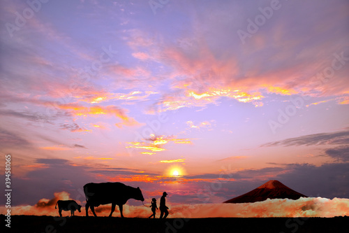 Fototapeta Naklejka Na Ścianę i Meble -  オレンジの空を背景に草原の牧場で牛を曳く老人と女の子のシルエット