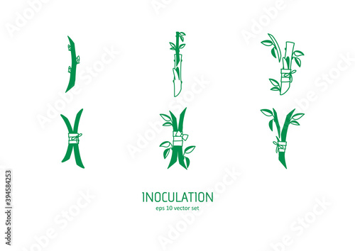 Sprout - vector icons set.