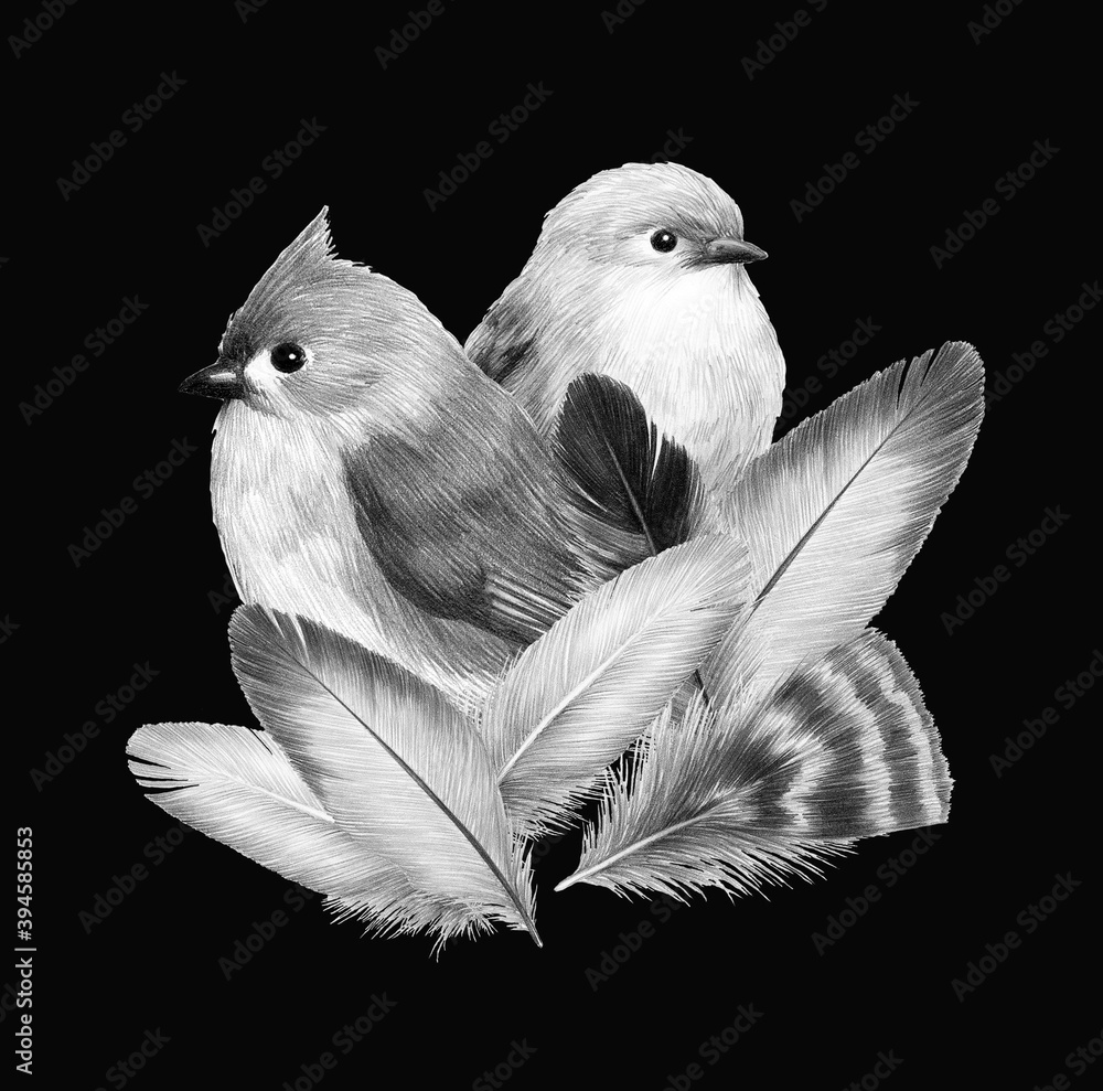 Φωτογραφία sketch of a bird graphics cute little bird pencil drawing print illustration col
