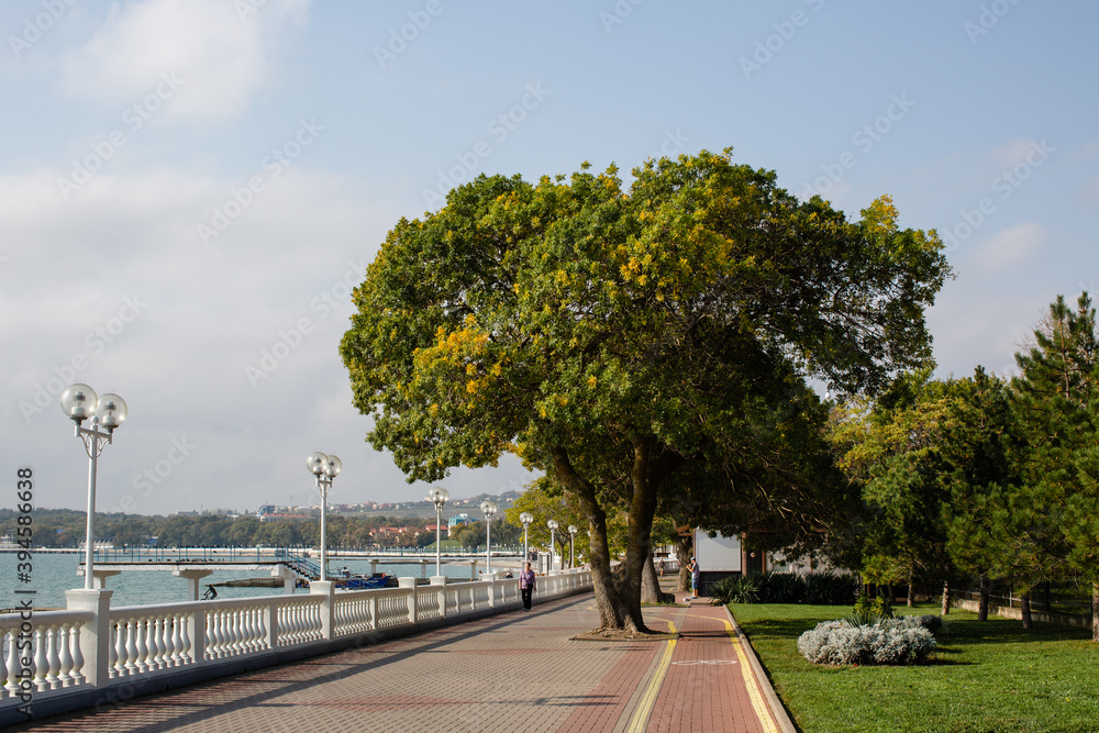Obraz premium Gelendzhik embankment with sea view