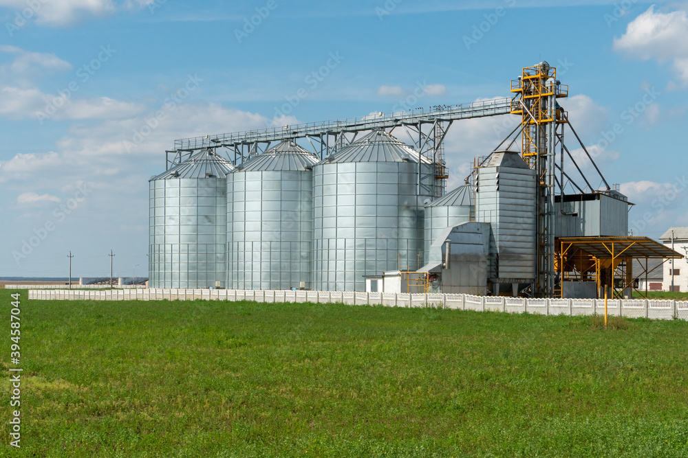 silver silos on agro manufacturing plant for processing drying cleaning and storage of agricultural products, flour, cereals and grain. Large iron barrels of grain. Granary elevator