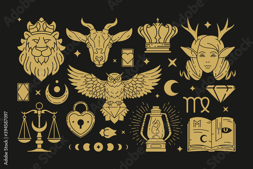 Magic mystical and celestial vector design elements set with zodiac icons.