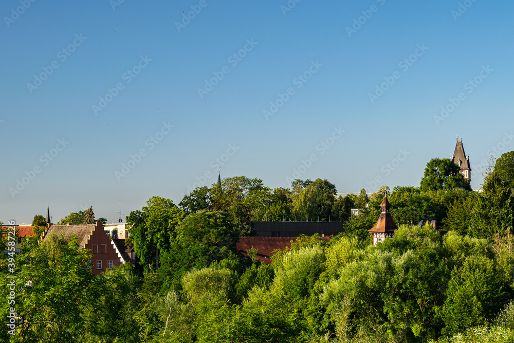 village in the trees 