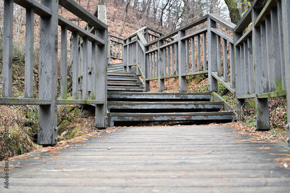 wooden steps in the forest wooden steps in the forest