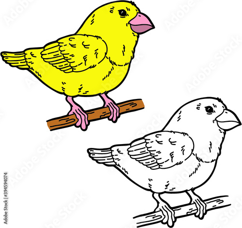 Vector illustration coloring page of happy cartoon bird for children and scrap book