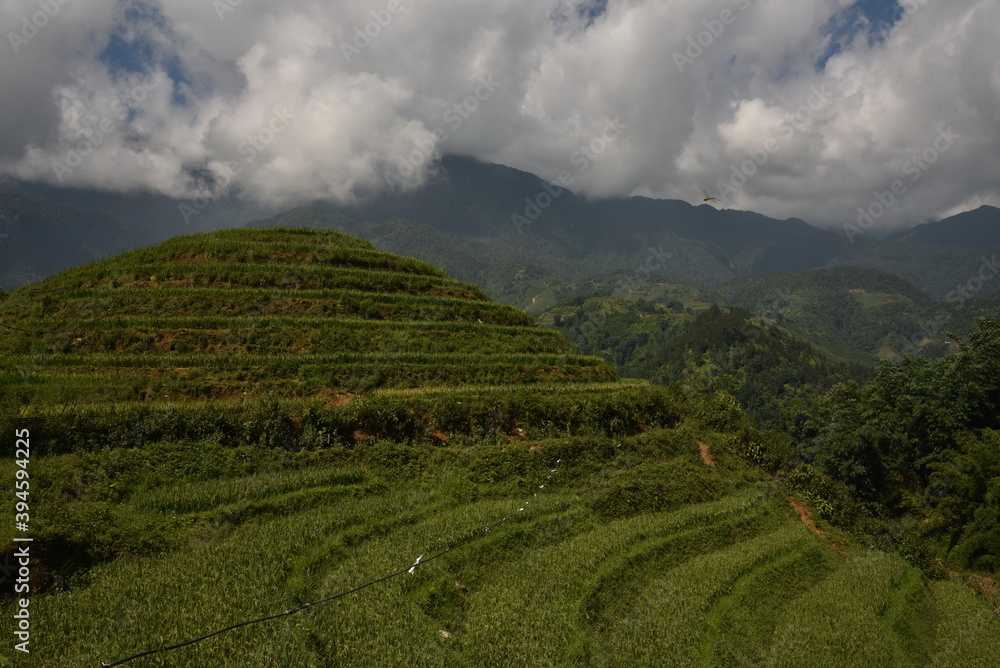 Fototapeta premium Dolci colline in Asia