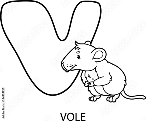 Vector illustration of educational alphabet coloring page with cartoon animal for kids