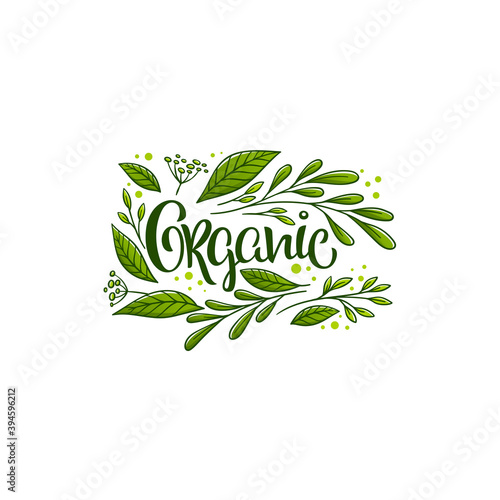 beauty of nature doodle organic leave emblem,  frame and logo