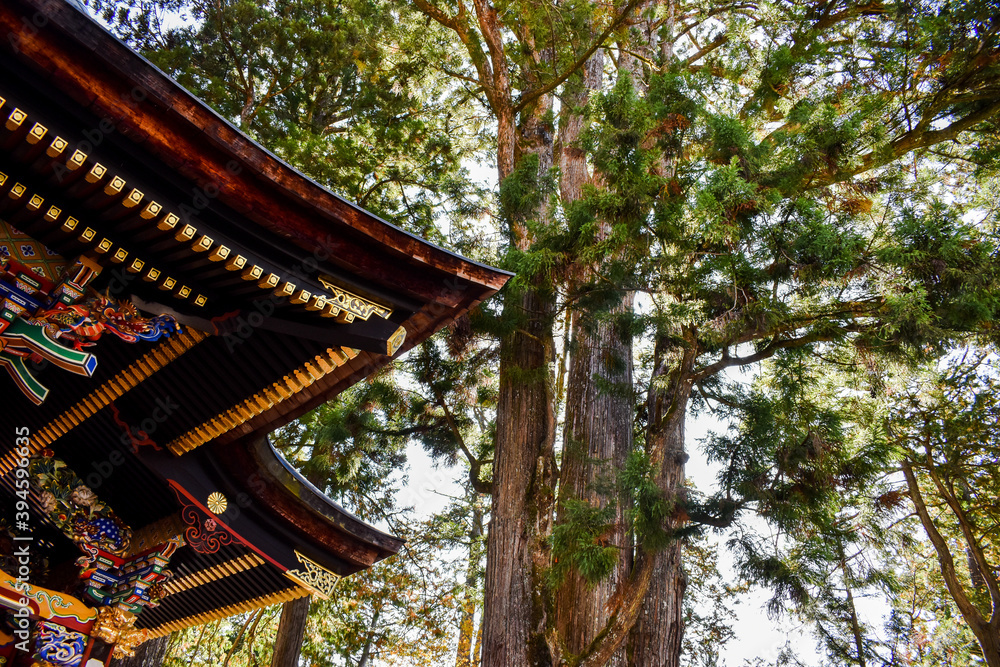 beautiful and mysterious Japanese temple in Mitsumine, Chichibu beautiful and mysterious Japanese temple in Mitsumine, Chichibu