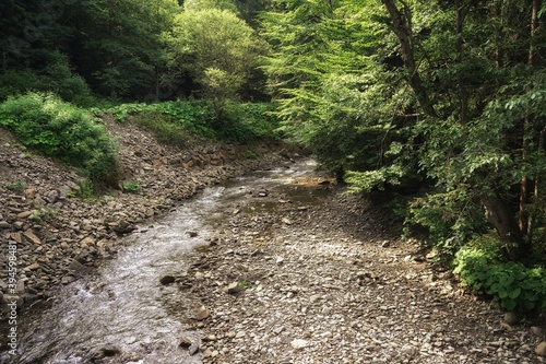 Stone riverbed of a mountain river, summer in the Gorce, sunny l photo