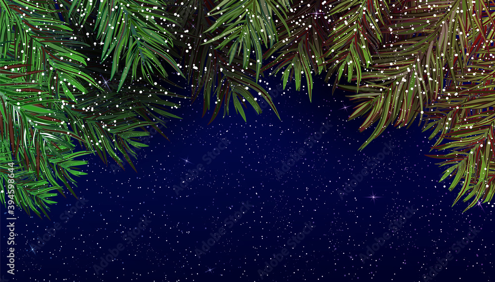 New Year`s background with branches of Christmas tree
