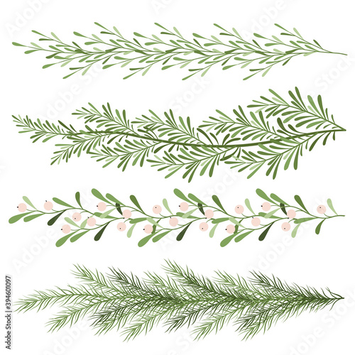 Set of christmas plants. Sprigs of mistletoe, coniferous branches. Long scenery. New year illustration