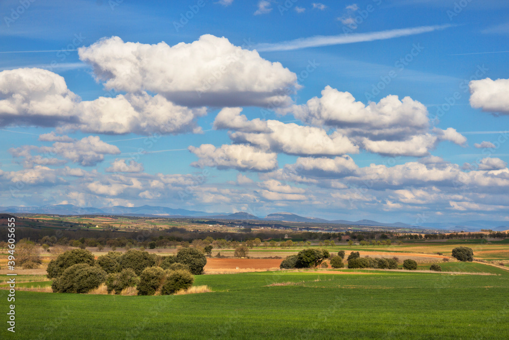 Green field with clouds in spring Green field with clouds in spring