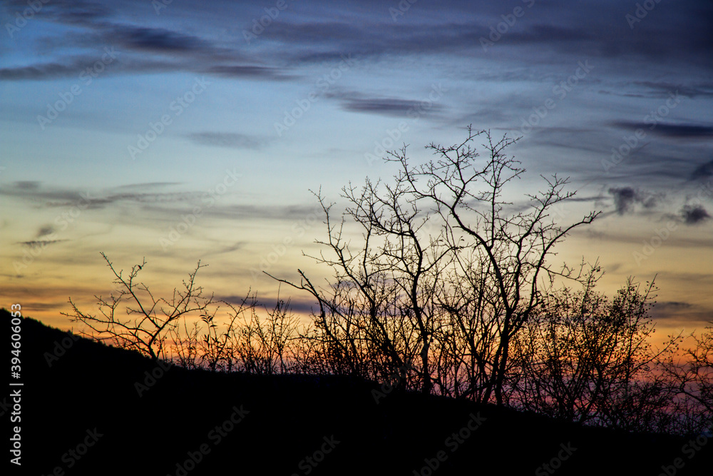 Mountain sunset with hawthorn silhouette Mountain sunset with hawthorn silhouette