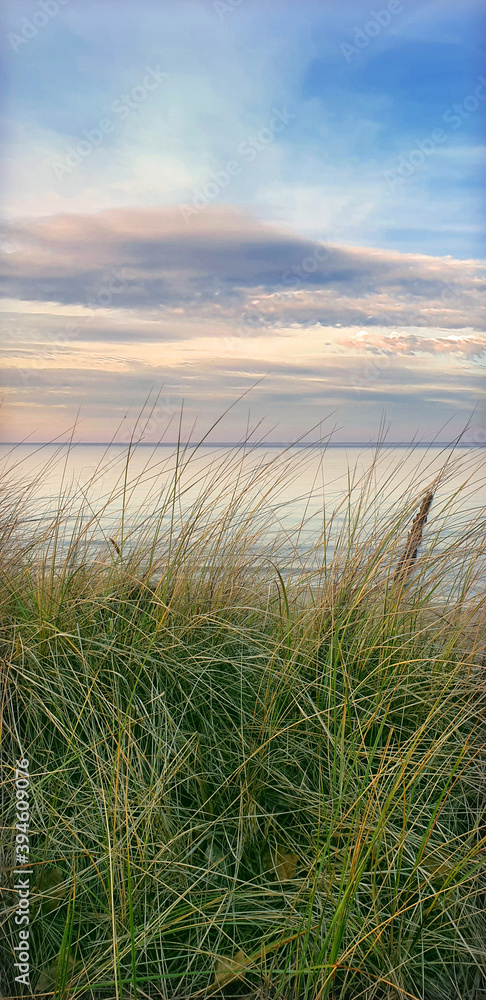 Fototapeta premium Strandblick durch die Dünen im Ostseebad Heiligendamm