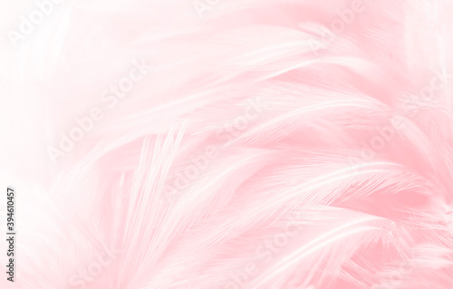 Close-up, Soft pink feathers vintage texture background.