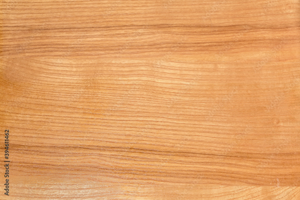 Background of varnished panel of the natural ash-tree wood Background of varnished panel of the natural ash-tree wood