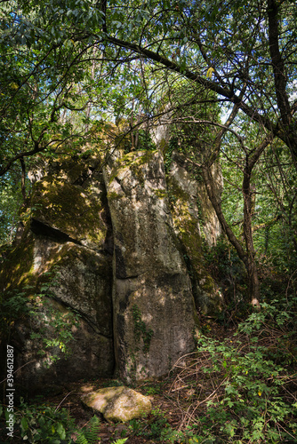 View on a illuminated rock wall in a forest.