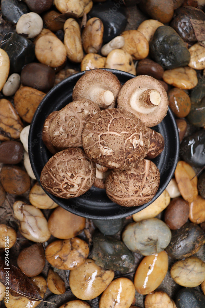 Shiitake mushroom on stone background Shiitake mushroom on stone background