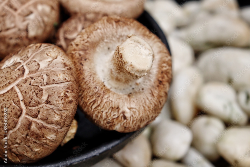 Shiitake mushroom on stone background