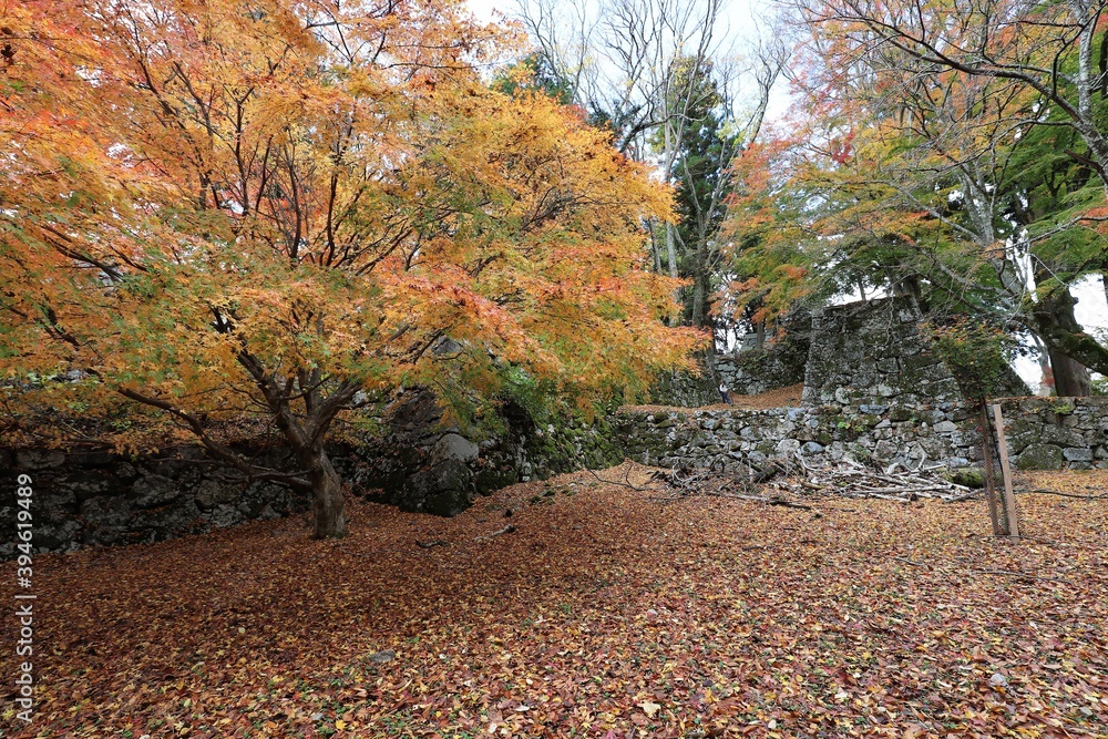 Naklejka premium 高取城の紅葉