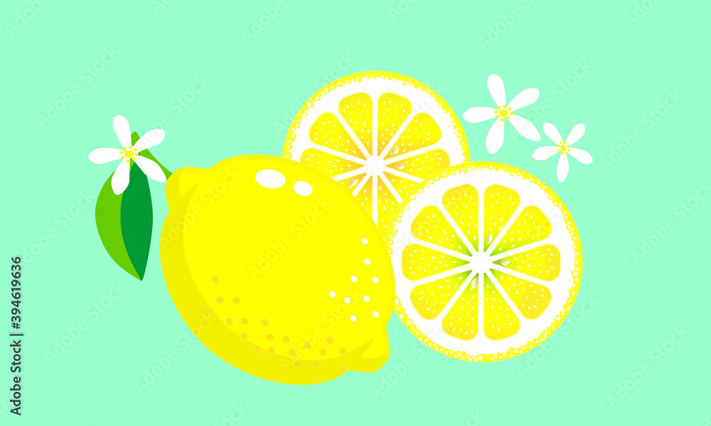レモンとレモンの輪切りとレモンの花のイラスト Stock ベクター Adobe Stock