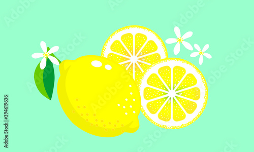 レモンとレモンの輪切りとレモンの花のイラスト