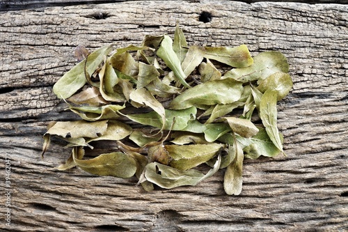 Brown dried leaves on wood background