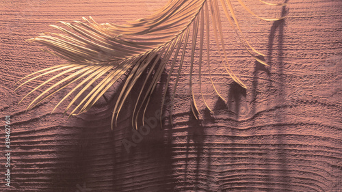 Tropical palm leaves color close up set sail champagne branch light shadow