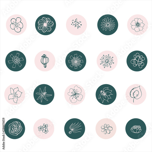 Flowers flat line icons. Graceful sign boards for a flower shop. Covers stories, covers. Icons