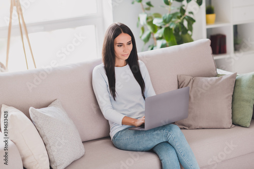 Free Download Photo of serious focused young woman sit sofa type message on laptop work form home indoors inside house - GFXLoad