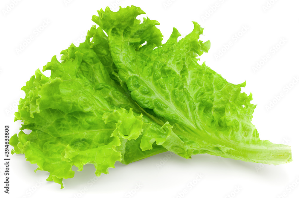 one salad leaf isolated on a white background. full depth of field. clipping path one salad leaf isolated on a white background. full depth of field. clipping path
