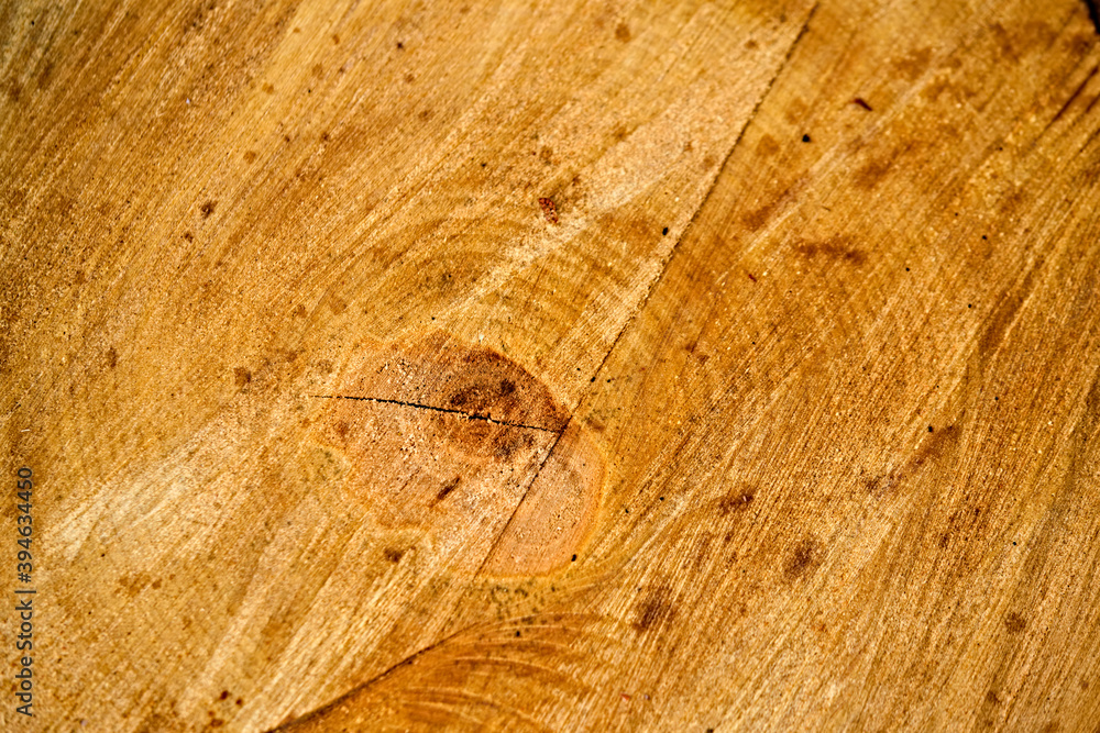 Naklejka premium Close up view of wood core. Sawn mature tree section with cracks and rings that tell it's age. Natural organic texture with cracked and rough surface. color