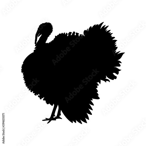 Turkey and gobbler black silhouette. Thanksgiving icon. Farm bird graphic design. Vector illustration.