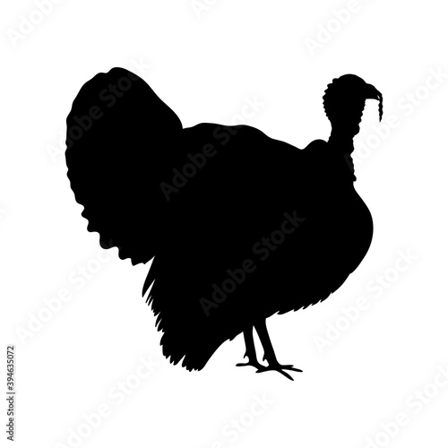 Turkey and gobbler black silhouette. Thanksgiving icon. Farm bird graphic design. Vector illustration.