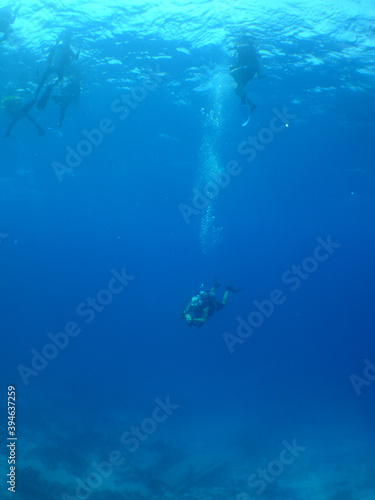 underwater scuba diver , caribbean sea , Aruba Island
