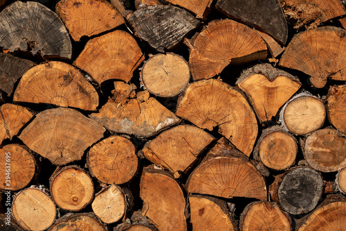 Close up logs in a row. Wooden circles on trees. Logs for processing