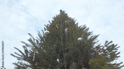Wide view of big green decorated christmas tree outdoor with blue sky on background. New year party and holidays outdoor