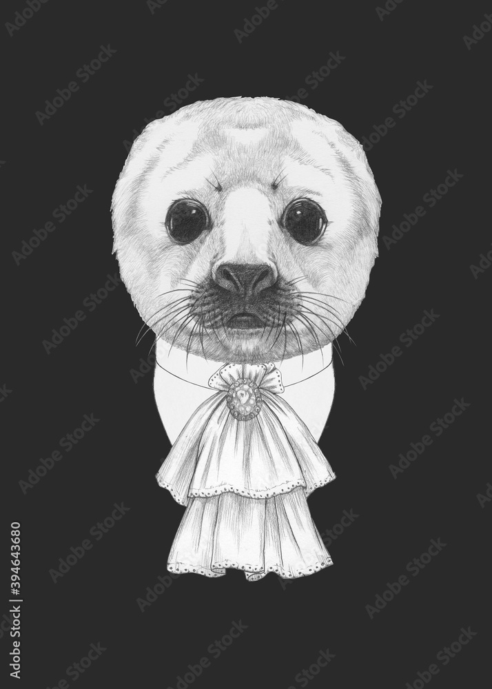Portrait of Aristocrat Baby Fur Seal. Hand-drawn illustration. Portrait of Aristocrat Baby Fur Seal. Hand-drawn illustration.