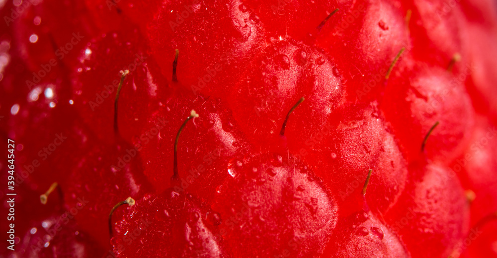 Fresh raspberry extreme close-up as background