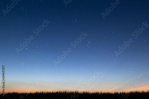 Fotografie 星空の草原　背景素材