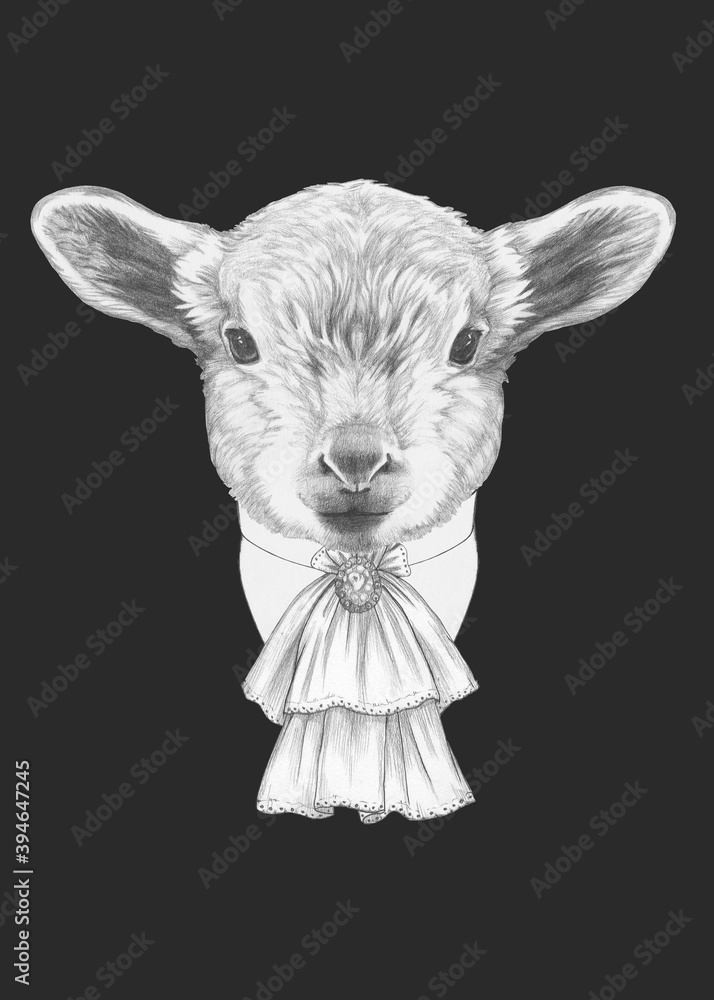 Obraz premium Portrait of Aristocrat Lamb. Hand-drawn illustration.
