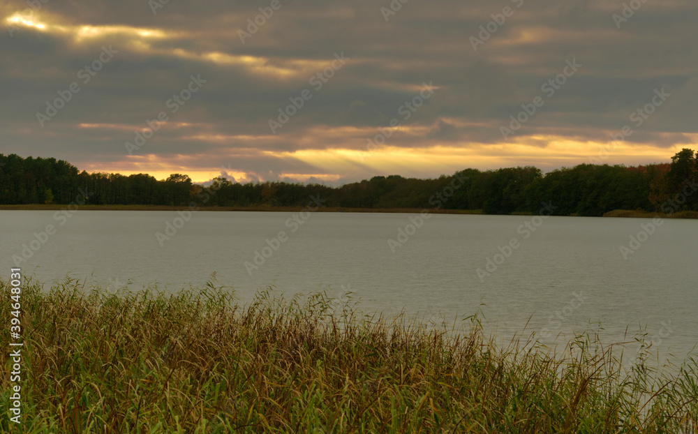 Sunset at a sea with reed at autumn in Mecklenburg-West Pomerania Germany Europe Sunset at a sea with reed at autumn in Mecklenburg-West Pomerania Germany Europe