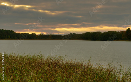 Sunset at a sea with reed at autumn in Mecklenburg-West Pomerania Germany Europe