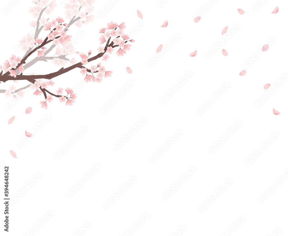 桜　枝　水彩　手描き
