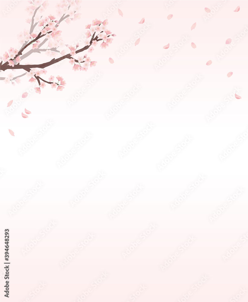 桜　フレーム ピンク　上下　メッセージ　水彩　手描き
