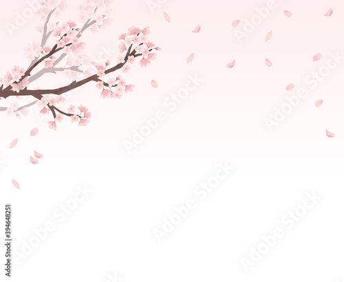 桜　フレーム ピンク　上　メッセージ　水彩　手描き  © トワトワ