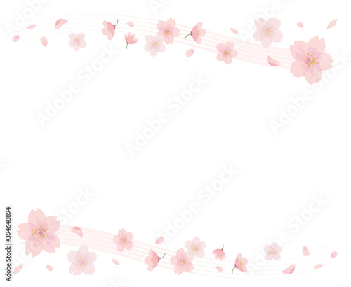 桜　フレーム 線　水彩　手描き  © トワトワ